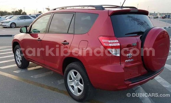 Nunua Imported Toyota RAV4 Nyekundu Gari ndani ya Import - Dubai nchini Uganda Nunua Imported Toyota RAV4 Nyekundu Gari ndani ya Import - Dubai nchini Uganda