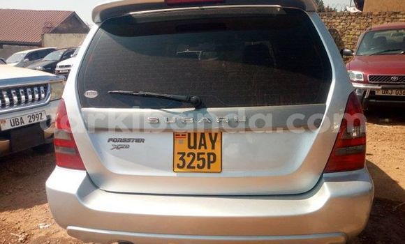 Acheter Occasion Voiture Subaru Forester Gris à Kampala, Ouganda Acheter Occasion Voiture Subaru Forester Gris à Kampala, Ouganda