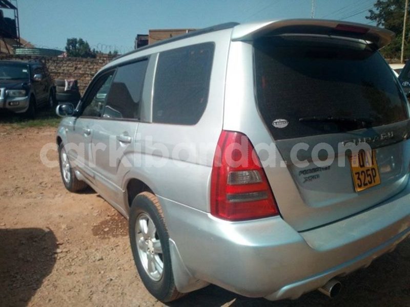 Big with watermark 54255653 2297779153793659 4198353956591632384 o