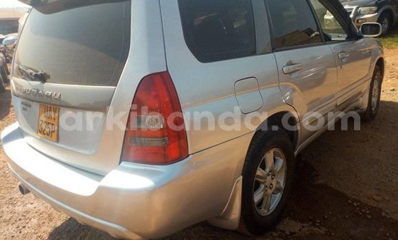 Acheter Occasion Voiture Subaru Forester Gris à Kampala, Ouganda Acheter Occasion Voiture Subaru Forester Gris à Kampala, Ouganda