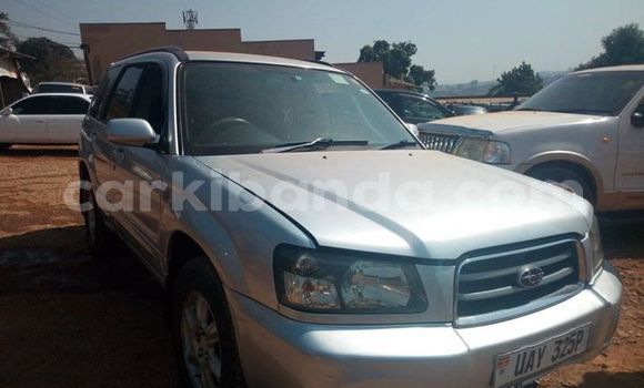 Acheter Occasion Voiture Subaru Forester Gris à Kampala, Ouganda Acheter Occasion Voiture Subaru Forester Gris à Kampala, Ouganda