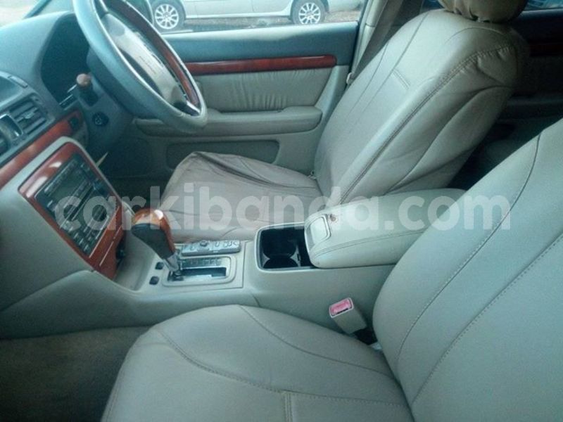 Big with watermark 53435020 2295995790638662 6613840699118845952 o