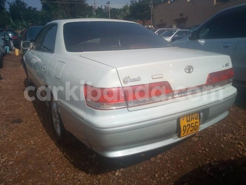 Big with watermark 53408368 2290393474532227 838843551411339264 o