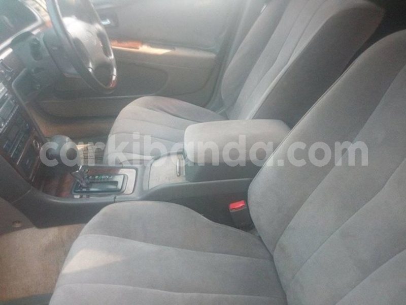 Big with watermark 53521593 2290393447865563 8690405288781545472 o