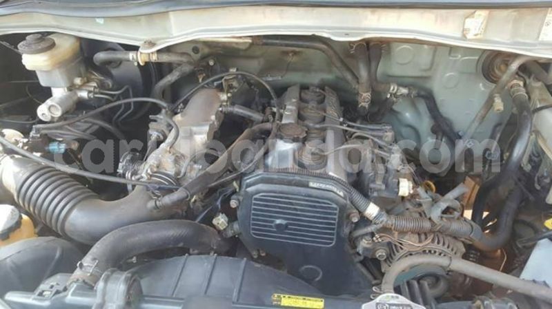 Big with watermark 54727439 1191317127695123 4013583780617912320 o