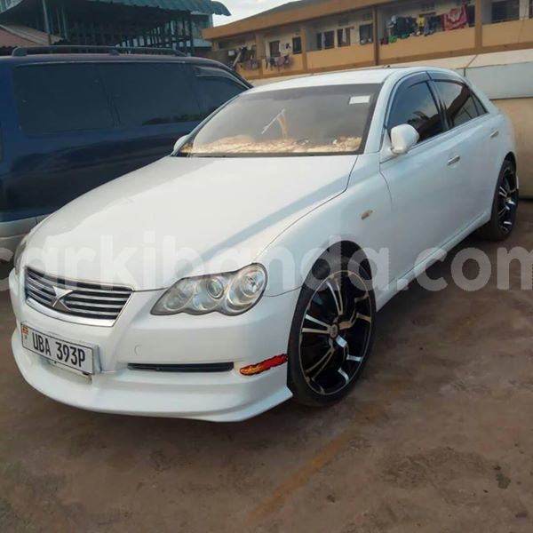 Big with watermark 53868138 1189163027910533 8888781345623375872 n