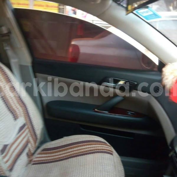 Big with watermark 53720705 1189162961243873 2786313033452879872 n