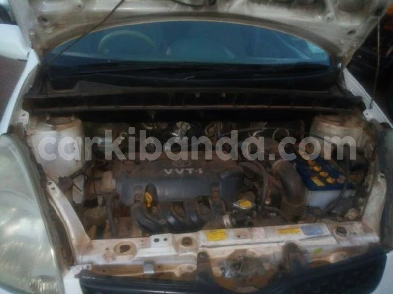 Big with watermark 53865579 1188563831303786 5424913306848591872 o