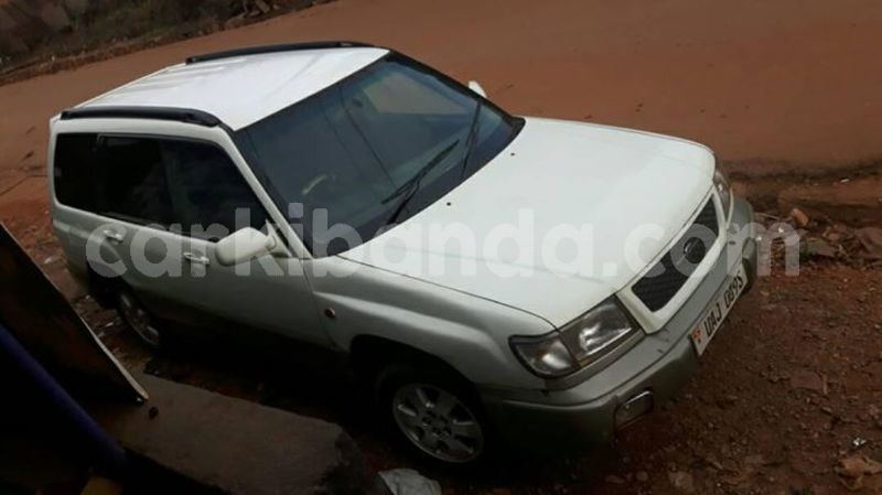 Big with watermark 53706666 1187152171444952 9156801542710362112 o