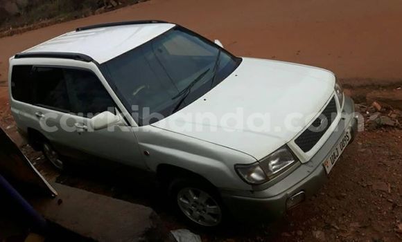 Gura Yakoze Subaru Forester White Imodoka i Kampala mu Uganda Gura Yakoze Subaru Forester White Imodoka i Kampala mu Uganda