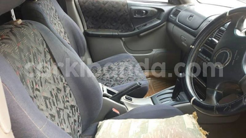 Big with watermark 53782642 1187152094778293 3599999556957241344 o