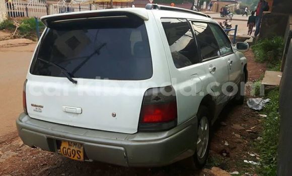 Gura Yakoze Subaru Forester White Imodoka i Kampala mu Uganda Gura Yakoze Subaru Forester White Imodoka i Kampala mu Uganda