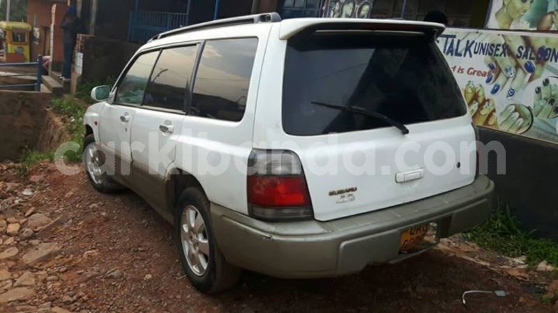 Big with watermark 53866446 1187152011444968 1151526984560410624 o