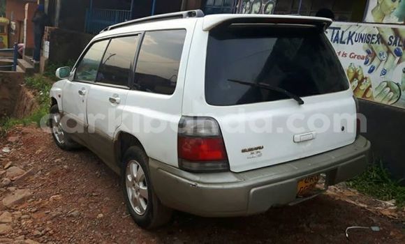 Gura Yakoze Subaru Forester White Imodoka i Kampala mu Uganda Gura Yakoze Subaru Forester White Imodoka i Kampala mu Uganda