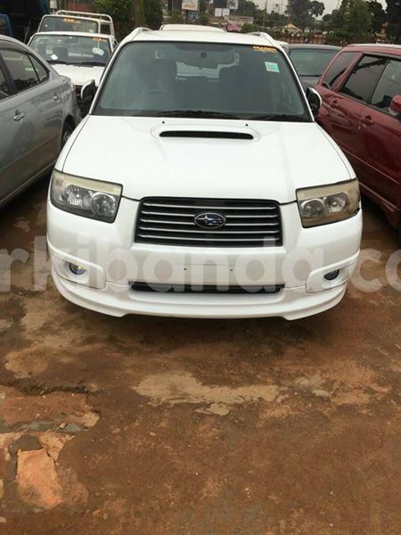 Big with watermark 53216928 1183073335186169 541233198613397504 n