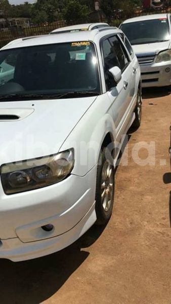 Big with watermark 53140459 1183073375186165 6187906511746891776 n