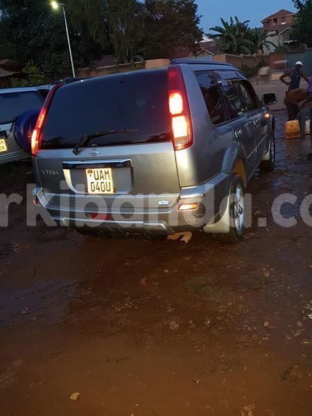 Big with watermark 54412543 177883559860057 8087014331322990592 n