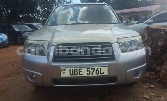 Gura Yakoze Subaru Forester Silver Imodoka i Kampala mu Uganda Gura Yakoze Subaru Forester Silver Imodoka i Kampala mu Uganda
