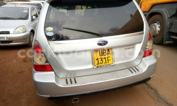 Gura Yakoze Subaru Forester Silver Imodoka i Kampala mu Uganda Gura Yakoze Subaru Forester Silver Imodoka i Kampala mu Uganda