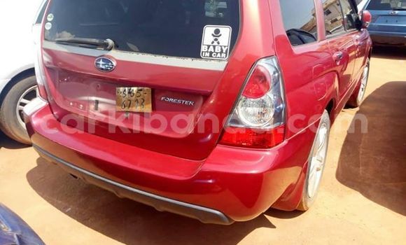 Gura Yakoze Subaru Forester Red Imodoka i Kampala mu Uganda Gura Yakoze Subaru Forester Red Imodoka i Kampala mu Uganda
