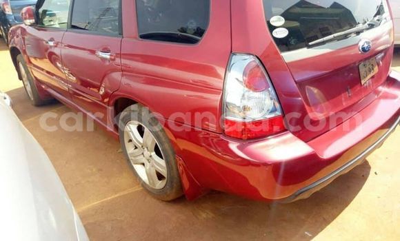 Gura Yakoze Subaru Forester Red Imodoka i Kampala mu Uganda Gura Yakoze Subaru Forester Red Imodoka i Kampala mu Uganda