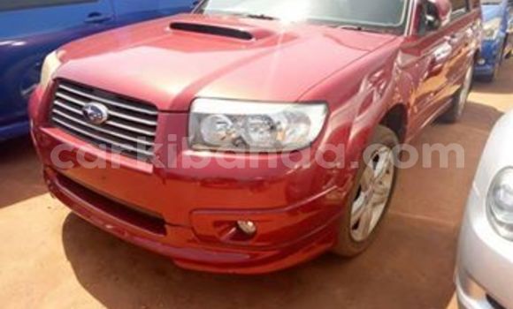 Gura Yakoze Subaru Forester Red Imodoka i Kampala mu Uganda Gura Yakoze Subaru Forester Red Imodoka i Kampala mu Uganda
