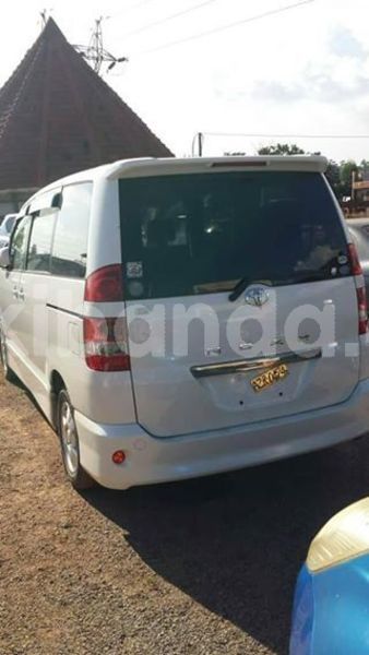 Big with watermark 54728596 2202663869789733 8316694596604133376 n