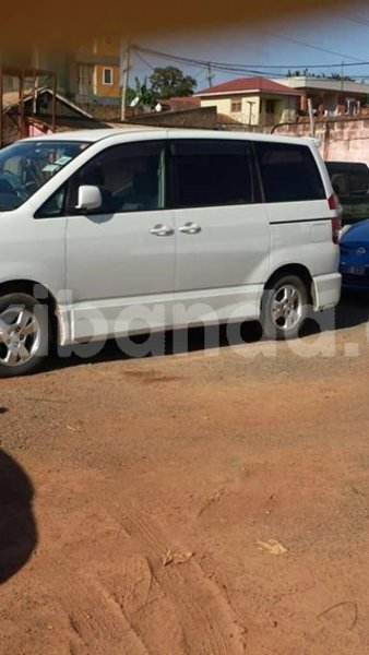 Big with watermark 53886136 2202663949789725 701959305850519552 n