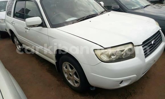 Gura Yakoze Subaru Forester White Imodoka i Kampala mu Uganda Gura Yakoze Subaru Forester White Imodoka i Kampala mu Uganda