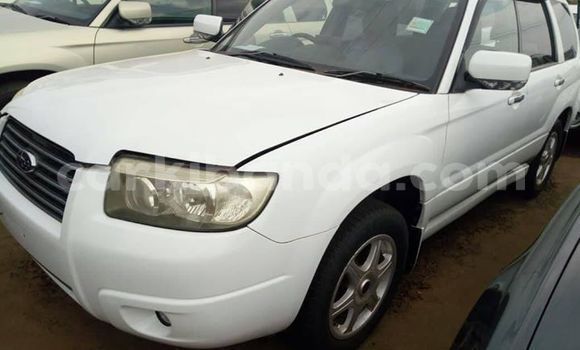 Gura Yakoze Subaru Forester White Imodoka i Kampala mu Uganda Gura Yakoze Subaru Forester White Imodoka i Kampala mu Uganda
