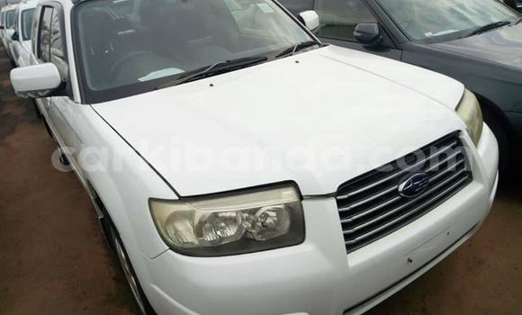 Gura Yakoze Subaru Forester White Imodoka i Kampala mu Uganda Gura Yakoze Subaru Forester White Imodoka i Kampala mu Uganda