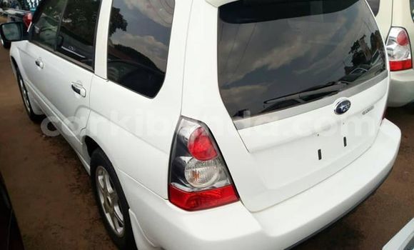 Gura Yakoze Subaru Forester White Imodoka i Kampala mu Uganda Gura Yakoze Subaru Forester White Imodoka i Kampala mu Uganda