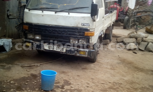 Buy Used Toyota Dyna White Truck in Mbale in Uganda