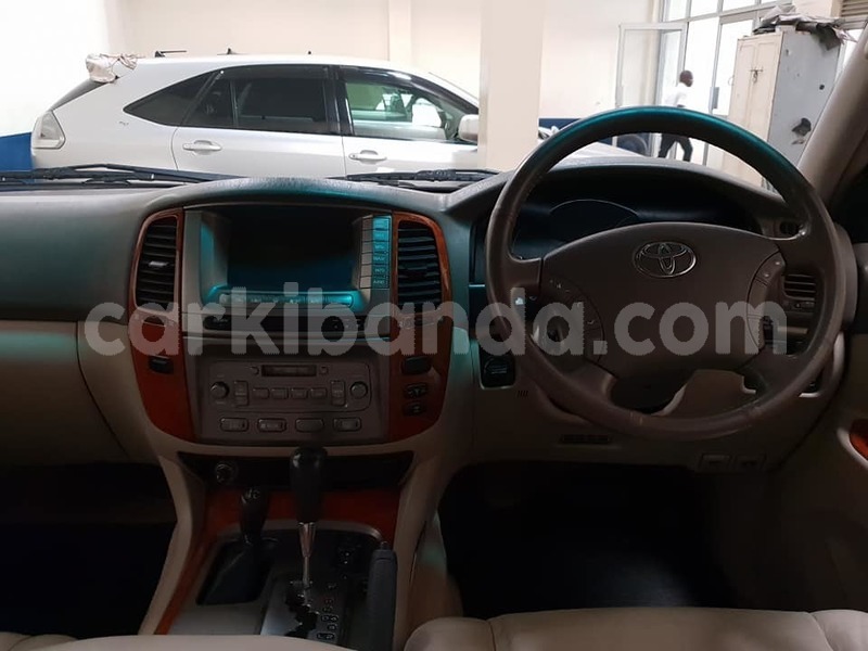 Big with watermark amazon6