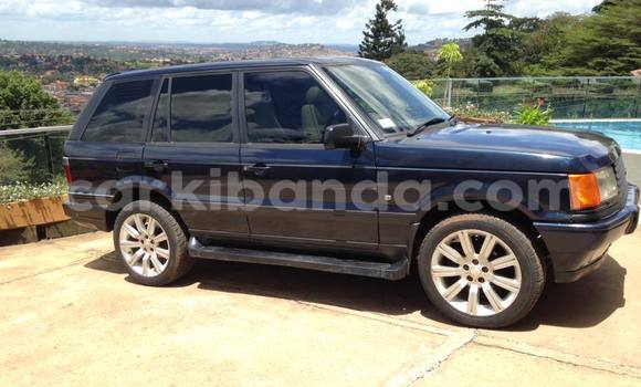 Buy Used Rover 600 Black Car in Arua in Uganda