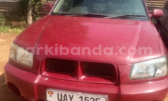Nunua Ilio tumika Subaru Forester Nyekundu Gari ndani ya Kampala nchini Uganda Nunua Ilio tumika Subaru Forester Nyekundu Gari ndani ya Kampala nchini Uganda