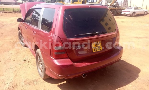 Nunua Ilio tumika Subaru Forester Nyekundu Gari ndani ya Kampala nchini Uganda Nunua Ilio tumika Subaru Forester Nyekundu Gari ndani ya Kampala nchini Uganda