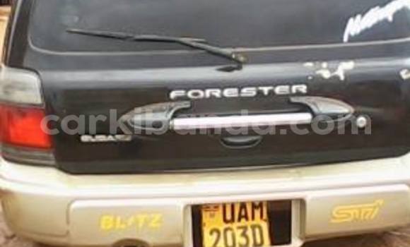 Buy Used Subaru Outback Black Car in Arua in Uganda Buy Used Subaru Outback Black Car in Arua in Uganda