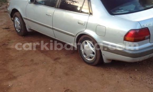 Buy Used Toyota 4Runner Silver Car in Arua in Uganda Buy Used Toyota 4Runner Silver Car in Arua in Uganda