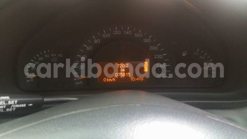 Big with watermark 13507259 10154324394080802 4852278140775679361 n