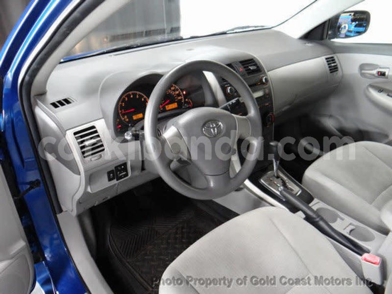 Big with watermark 9