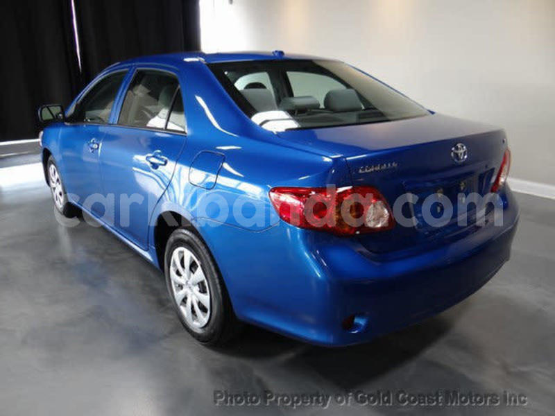 Big with watermark 14