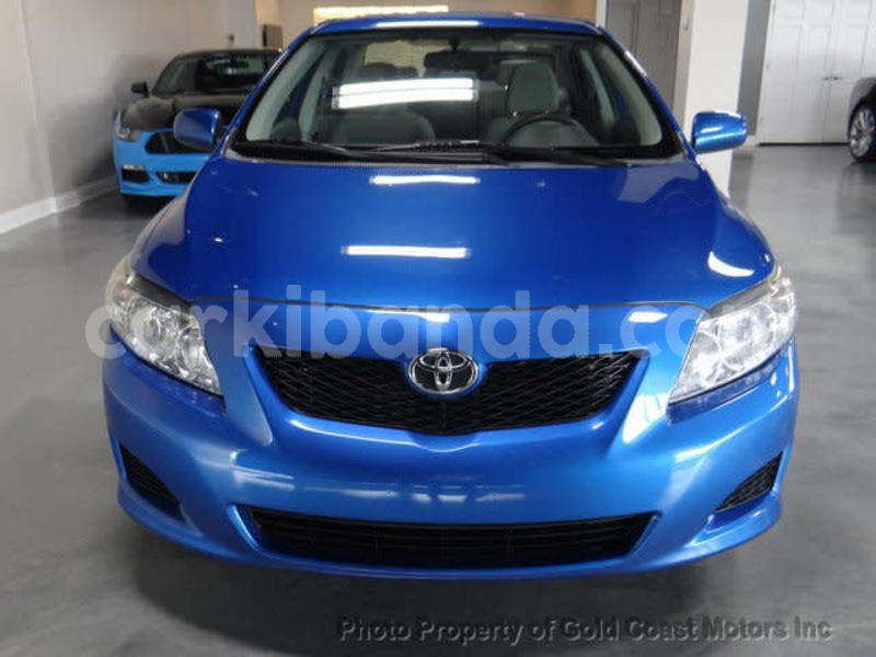 Big with watermark 16