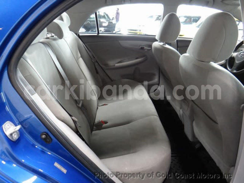 Big with watermark 29