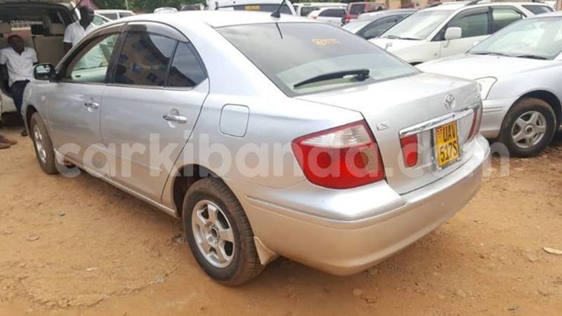 Big with watermark 56645029 1242601922570517 6462517533718085632 n