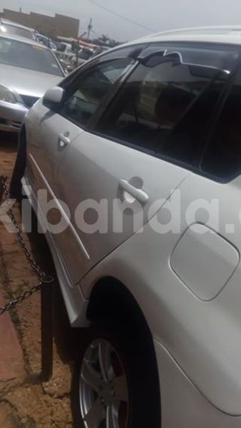 Big with watermark 56706278 1242295289267847 3029460963259580416 n