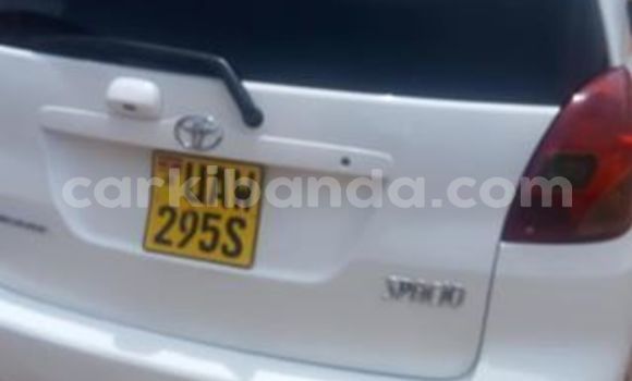 Buy Used Toyota Spacio White Car in Kampala in Uganda Buy Used Toyota Spacio White Car in Kampala in Uganda