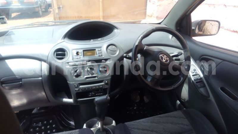 Big with watermark 57155586 1240912399406136 1059630571510038528 o