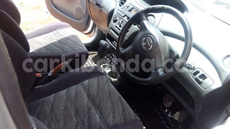 Big with watermark 56595472 1240912382739471 1685002458624950272 o