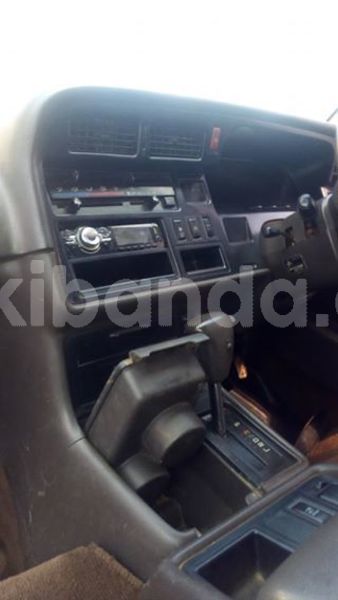 Big with watermark 56795578 1240172956146747 4612385986427486208 n